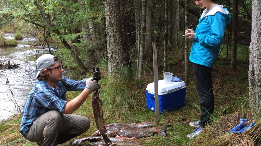 Ecological and Biological Research - Great Lakes Fishery Trust