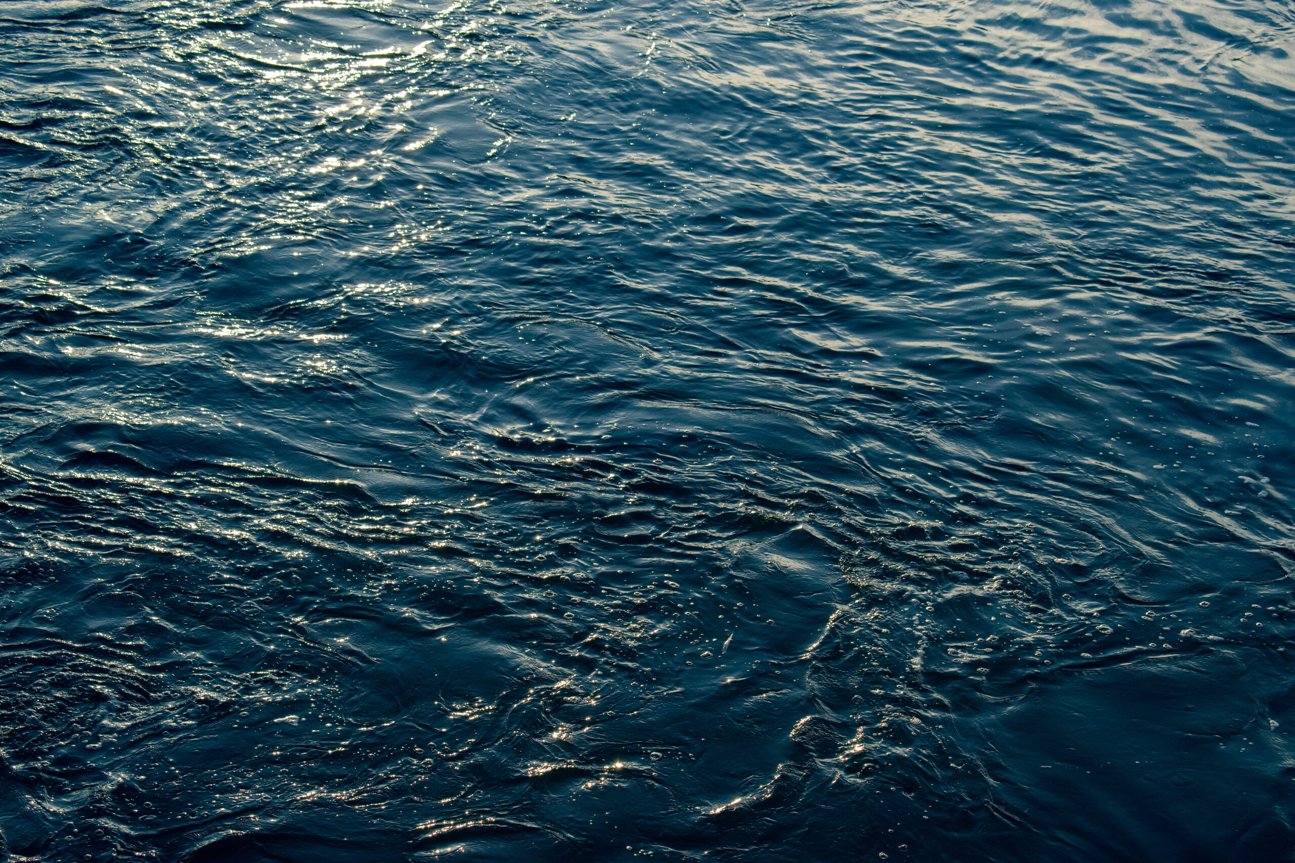 The Great Lakes Fishery Trust Awards Funding to Support Place-Based Stewardship Education in Michigan